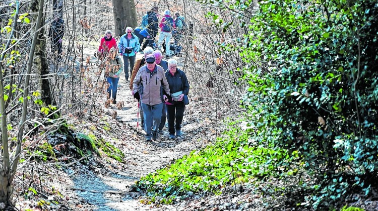 Wandelsportvereniging DOS  Barchem wandelt richting jubileumjaar